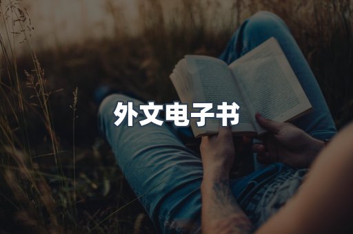 外文电子书